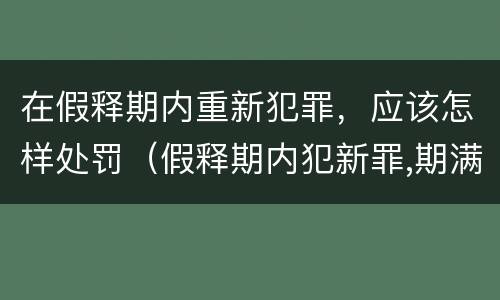 在假释期内重新犯罪，应该怎样处罚（假释期内犯新罪,期满后发现）