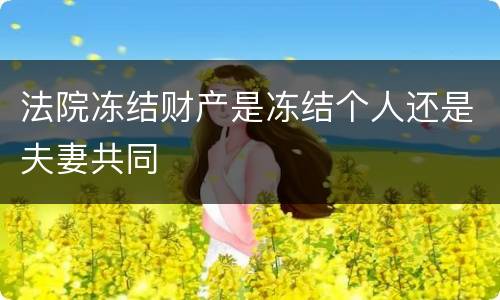 法院冻结财产是冻结个人还是夫妻共同