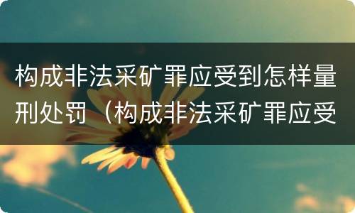 构成非法采矿罪应受到怎样量刑处罚（构成非法采矿罪应受到怎样量刑处罚呢）