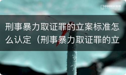 刑事暴力取证罪的立案标准怎么认定（刑事暴力取证罪的立案标准怎么认定）