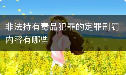 非法持有毒品犯罪的定罪刑罚内容有哪些