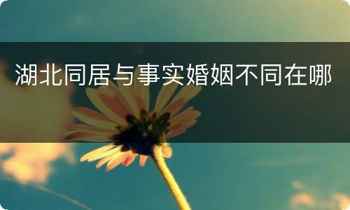 湖北同居与事实婚姻不同在哪