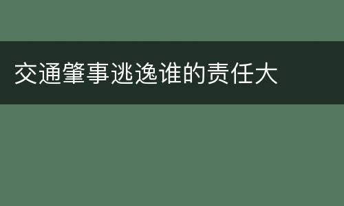 交通肇事逃逸谁的责任大