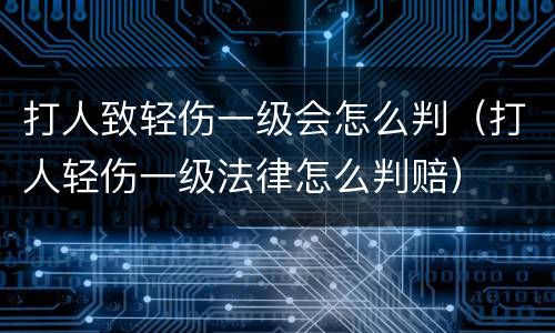 打人致轻伤一级会怎么判（打人轻伤一级法律怎么判赔）