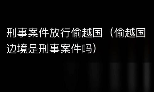 刑事案件放行偷越国（偷越国边境是刑事案件吗）