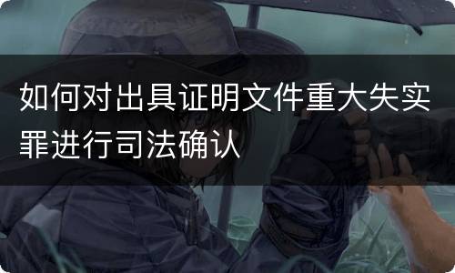 如何对出具证明文件重大失实罪进行司法确认