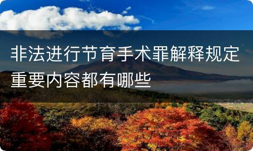 非法进行节育手术罪解释规定重要内容都有哪些