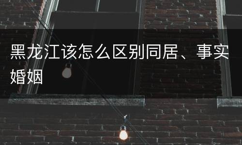 黑龙江该怎么区别同居、事实婚姻