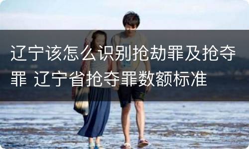 辽宁该怎么识别抢劫罪及抢夺罪 辽宁省抢夺罪数额标准