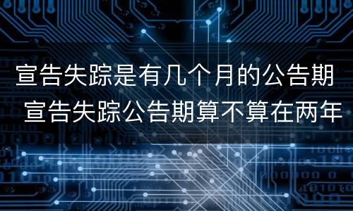 宣告失踪是有几个月的公告期 宣告失踪公告期算不算在两年里