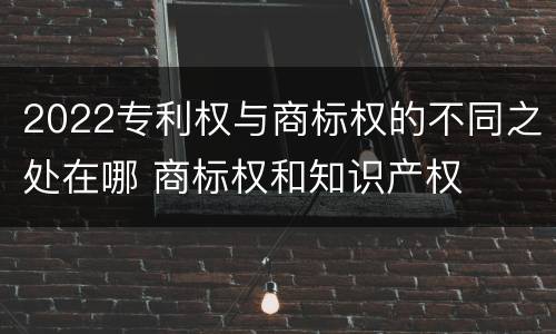 2022专利权与商标权的不同之处在哪 商标权和知识产权