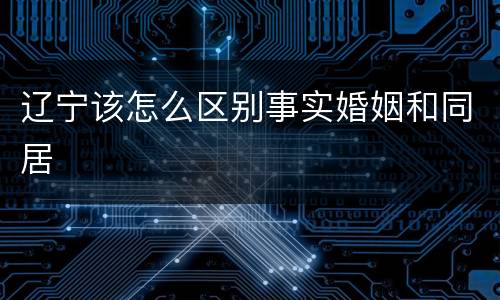 辽宁该怎么区别事实婚姻和同居