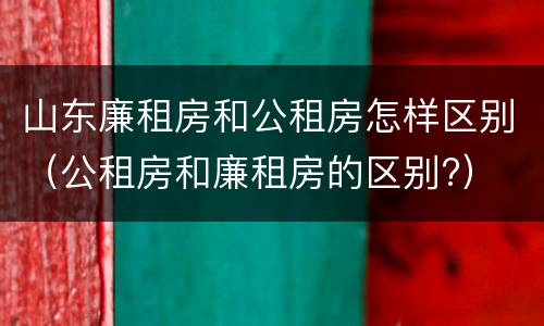 山东廉租房和公租房怎样区别（公租房和廉租房的区别?）