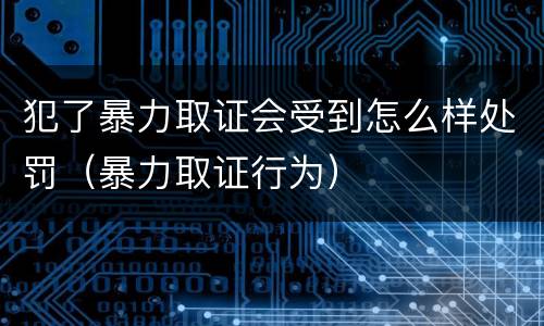 犯了暴力取证会受到怎么样处罚（暴力取证行为）