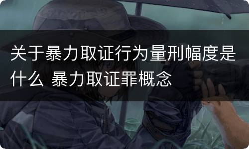 关于暴力取证行为量刑幅度是什么 暴力取证罪概念