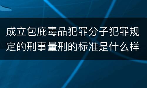 成立包庇毒品犯罪分子犯罪规定的刑事量刑的标准是什么样的