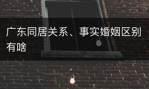 广东同居关系、事实婚姻区别有啥