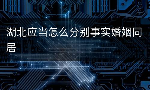 湖北应当怎么分别事实婚姻同居