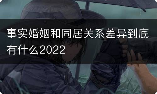 事实婚姻和同居关系差异到底有什么2022