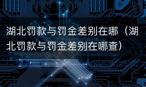湖北罚款与罚金差别在哪（湖北罚款与罚金差别在哪查）