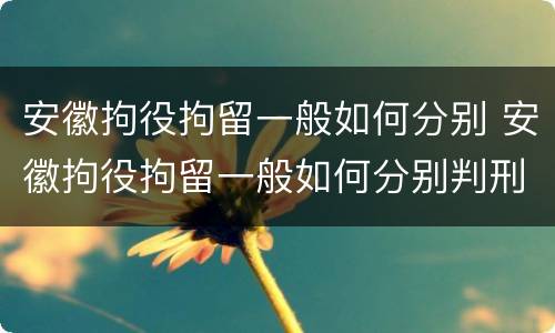 安徽拘役拘留一般如何分别 安徽拘役拘留一般如何分别判刑