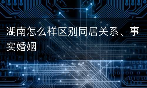 湖南怎么样区别同居关系、事实婚姻