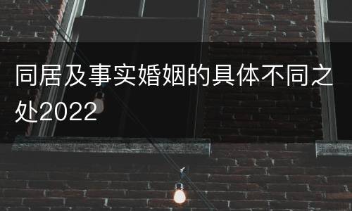同居及事实婚姻的具体不同之处2022