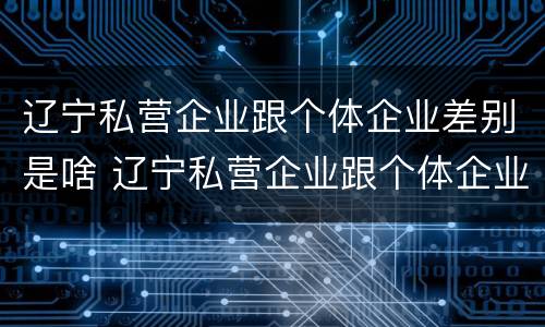 辽宁私营企业跟个体企业差别是啥 辽宁私营企业跟个体企业差别是啥啊