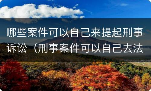 哪些案件可以自己来提起刑事诉讼（刑事案件可以自己去法院起诉吗）