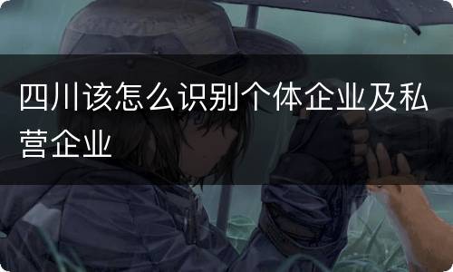 四川该怎么识别个体企业及私营企业