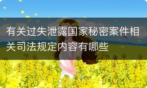 有关过失泄露国家秘密案件相关司法规定内容有哪些