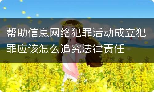 帮助信息网络犯罪活动成立犯罪应该怎么追究法律责任