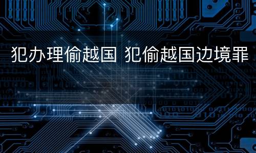 犯办理偷越国 犯偷越国边境罪