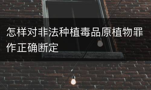 怎样对非法种植毒品原植物罪作正确断定