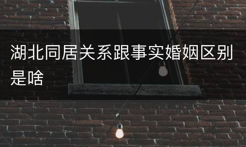 湖北同居关系跟事实婚姻区别是啥