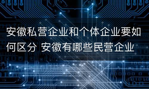 安徽私营企业和个体企业要如何区分 安徽有哪些民营企业