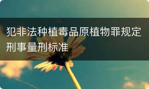 犯非法种植毒品原植物罪规定刑事量刑标准