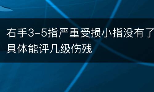 右手3-5指严重受损小指没有了具体能评几级伤残