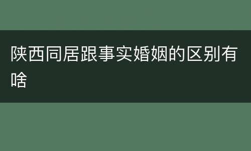 陕西同居跟事实婚姻的区别有啥