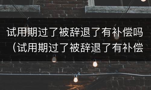 试用期过了被辞退了有补偿吗（试用期过了被辞退了有补偿吗）