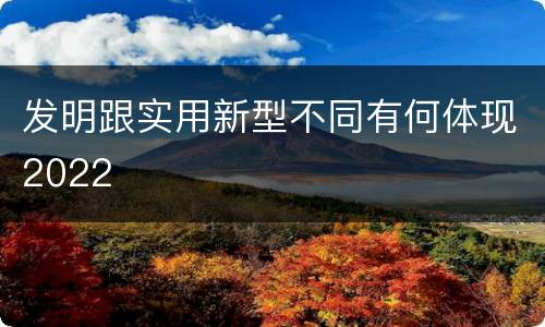 发明跟实用新型不同有何体现2022