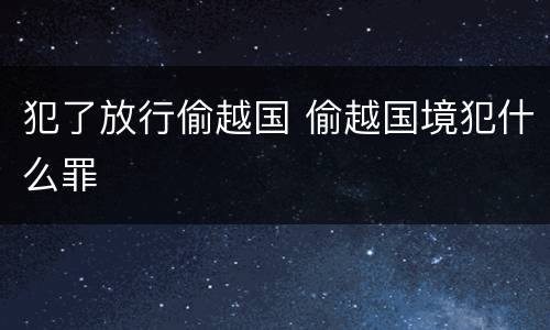 犯了放行偷越国 偷越国境犯什么罪