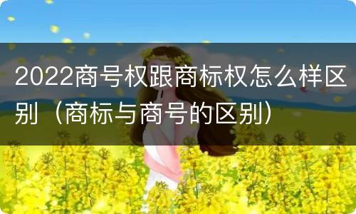 2022商号权跟商标权怎么样区别（商标与商号的区别）