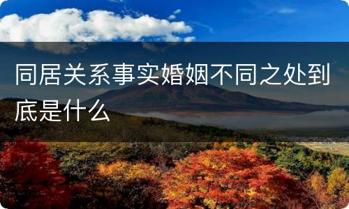 同居关系事实婚姻不同之处到底是什么