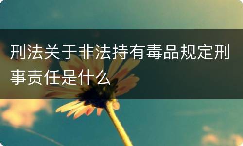 刑法关于非法持有毒品规定刑事责任是什么
