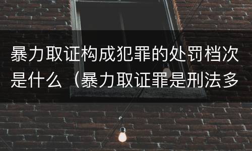 暴力取证构成犯罪的处罚档次是什么（暴力取证罪是刑法多少条）