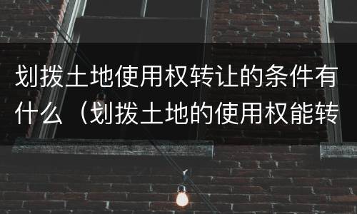 划拨土地使用权转让的条件有什么（划拨土地的使用权能转让吗）