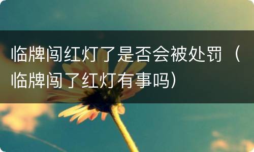 临牌闯红灯了是否会被处罚（临牌闯了红灯有事吗）