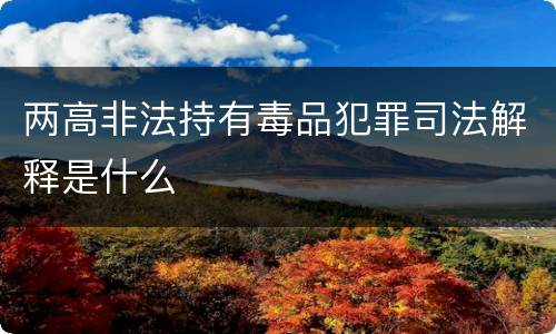 两高非法持有毒品犯罪司法解释是什么