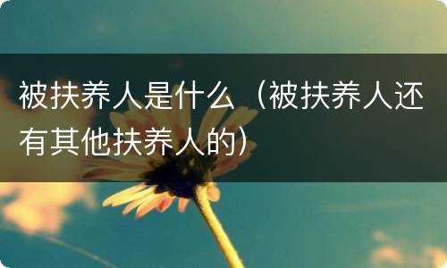 被扶养人是什么（被扶养人还有其他扶养人的）